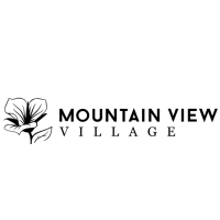 Rock the Village Concert Series