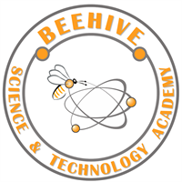 Beehive S&T Academy