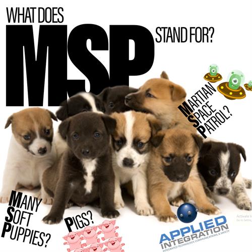 What does MSP stand for? 
