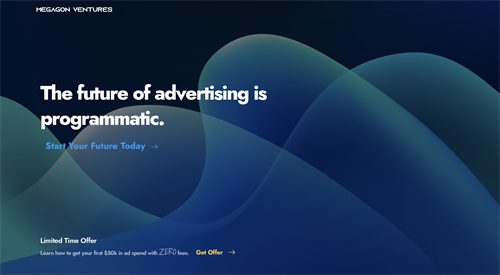 The future of advertising is programmatic.