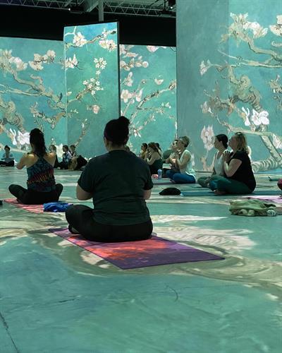 We take Yoga EVERYWHERE! Here we are teaching at the Beyond Van Gogh immersive exhibit. 