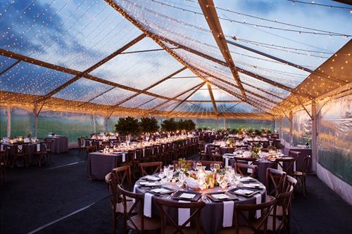 Tenting Under The Stars