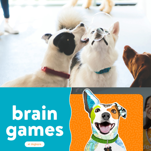 Among other amazing activities, brain games to are a part of our regular program!