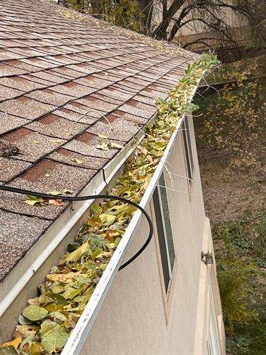 Rain Gutter Cleaning 