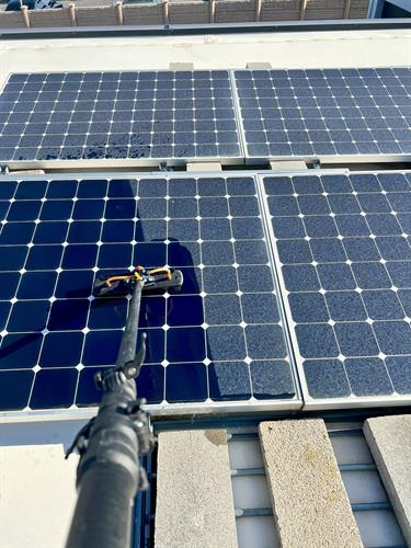 Solar Panel Cleaning 