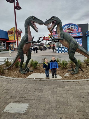 Jethro's Last Wish Trip to New York