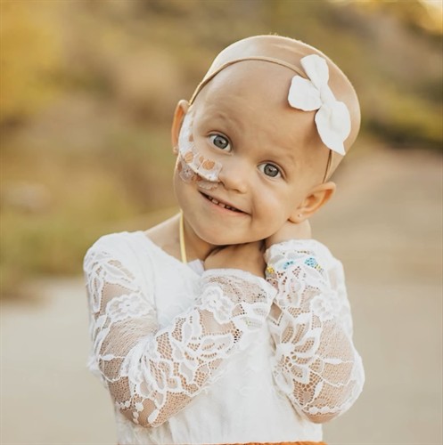 Harper's Legacy of Love 