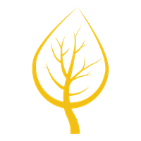 Aspen Peak Productions