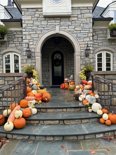 Gallery Image Autumn_Abundance.jpg