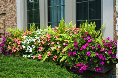 Gallery Image X14.jpg