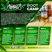 Cannabis Boot Camp- Week 3: Cannabis Education &  Entrepreneurship