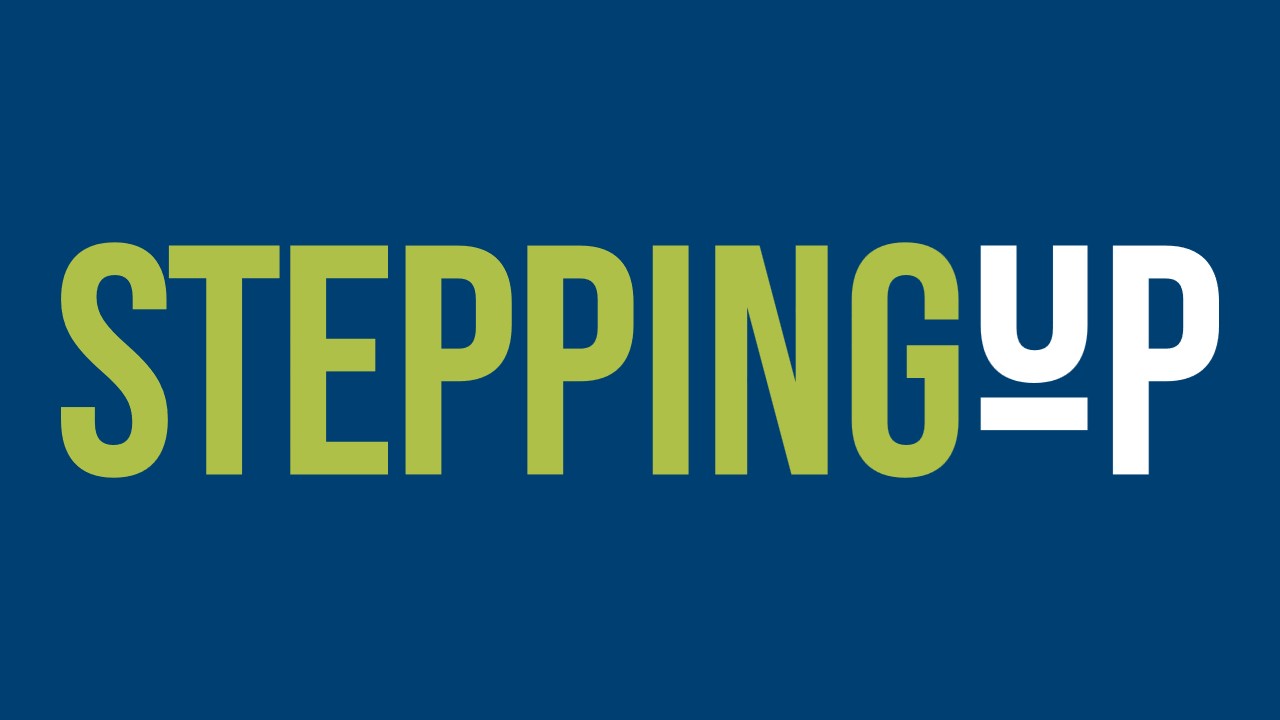 Image for Businesses welcomed learning about 'Stepping Up' program led by courts