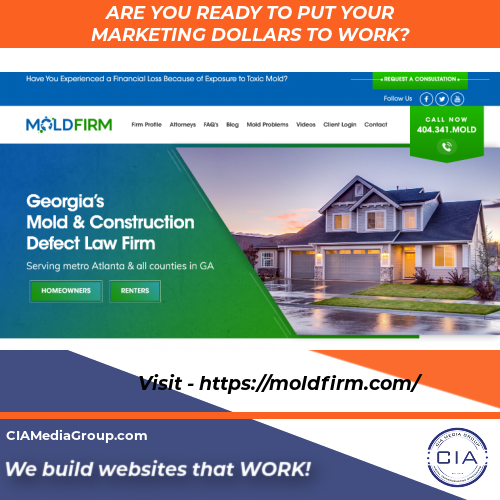 MoldFirm.com Website Examples