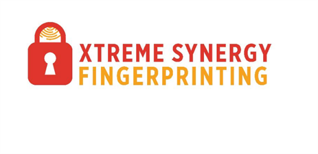 Xtreme Synergy LLC