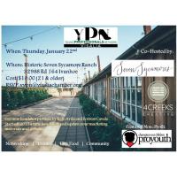 2015 Young Professionals Network January Mixer
