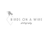 Birds on a Wire Photography