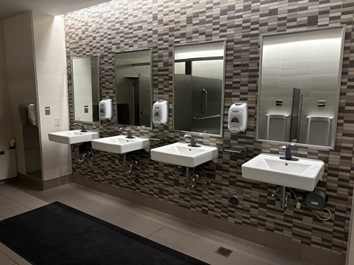 Commercial Bathroom - Lavatory Sinks - Near Fife, WA