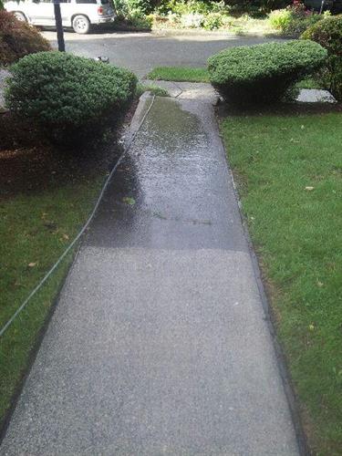 As well as cleaning windows, we provide power washing, gutter/roof cleaning, and house washing services.