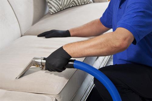 Gallery Image Upholstery_Cleaning.jpg