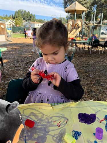 Gallery Image IMG_6023(1).jpeg