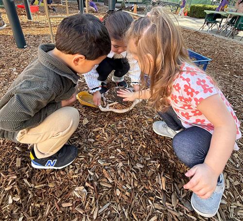 Gallery Image IMG_6072(1).jpeg