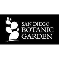 Moonlight Mixer May 2026