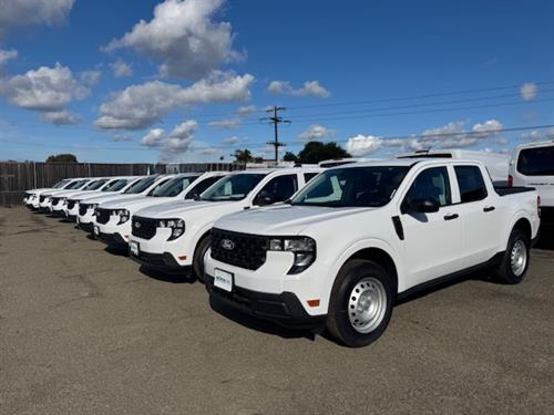 Gallery Image IMG_4515.jpg