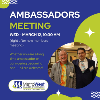 Ambassadors Meeting