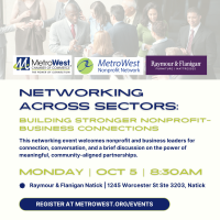 Networking Across Sectors - Building Stronger Nonprofit-Business Connections