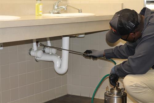 Plumbing can serve as a pest super highway