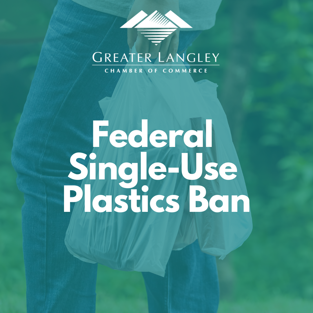 Image for ​Single Use Plastics Ban