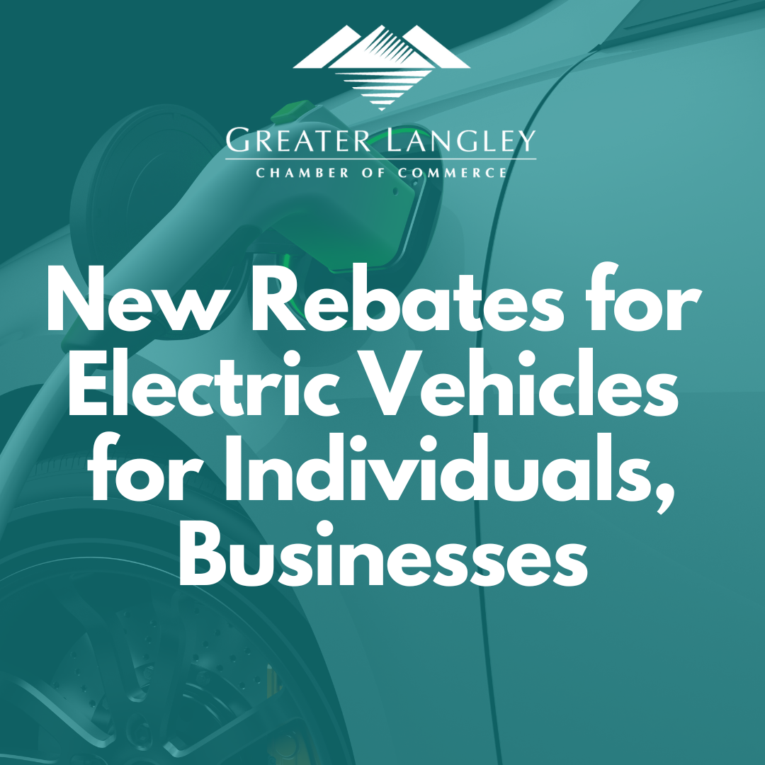 Government Rebates On Electric Vehicles