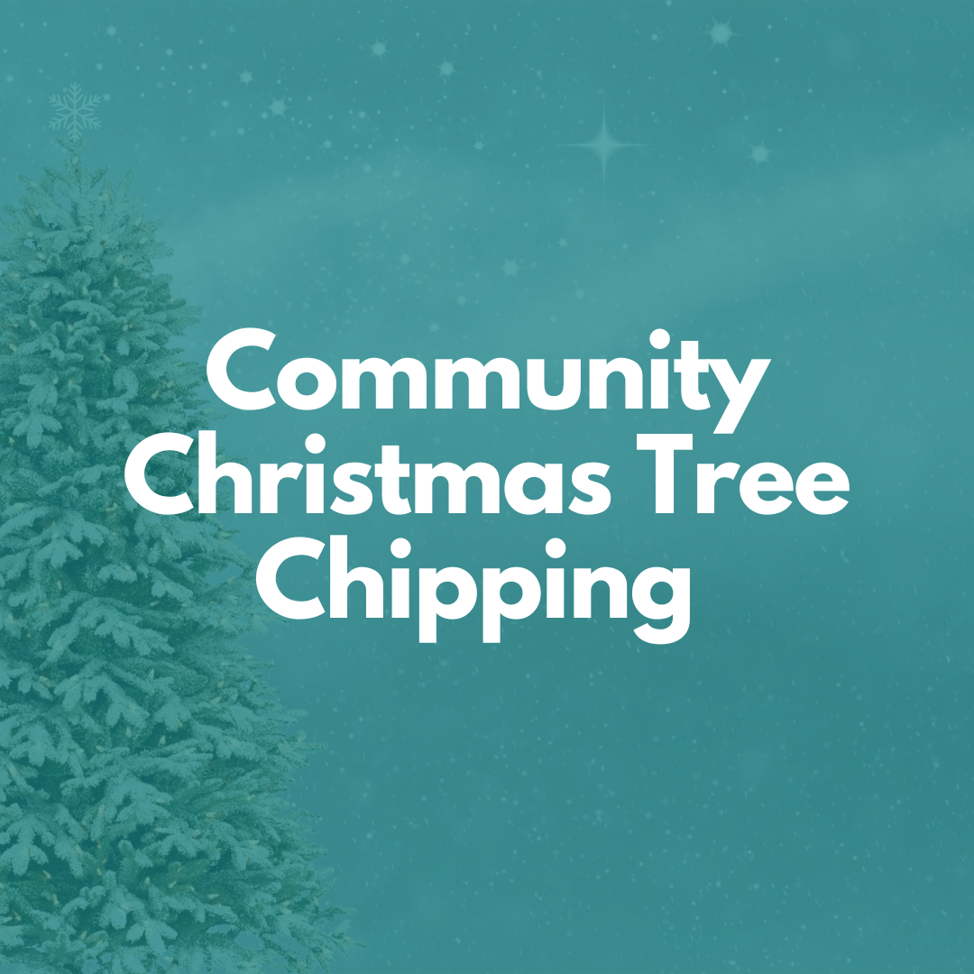 Image for Community Christmas Tree Chipping in Support of Langley Food Bank Held by Tim Keis Real Estate Team