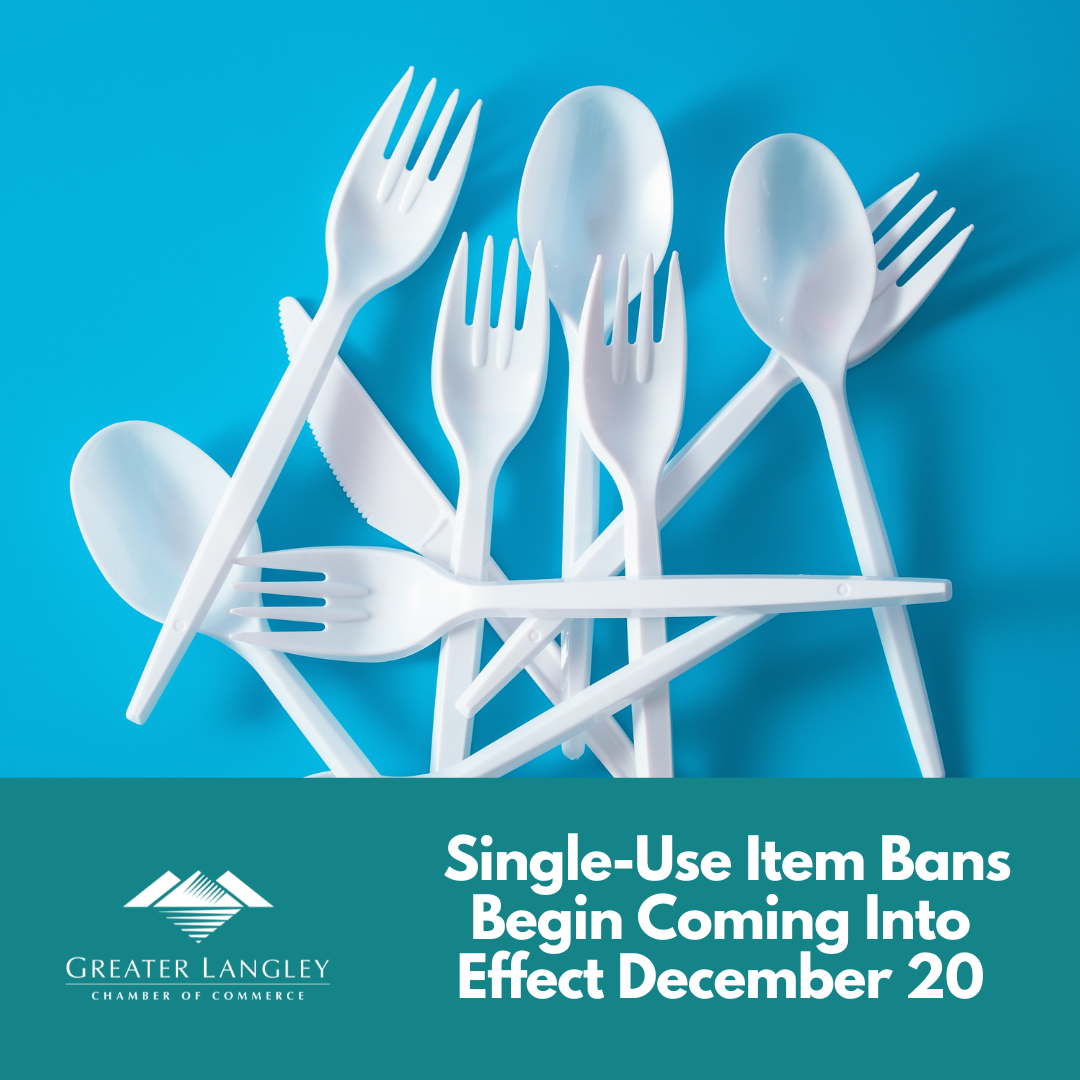 Single Use Item Bans Come Into Effect December 20