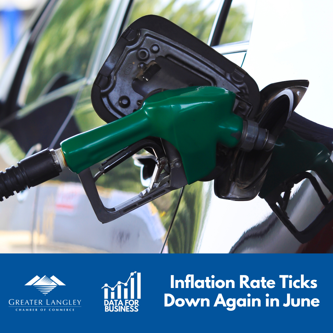 Image for Data for Business:  Inflation Rate Ticks Down Again in June