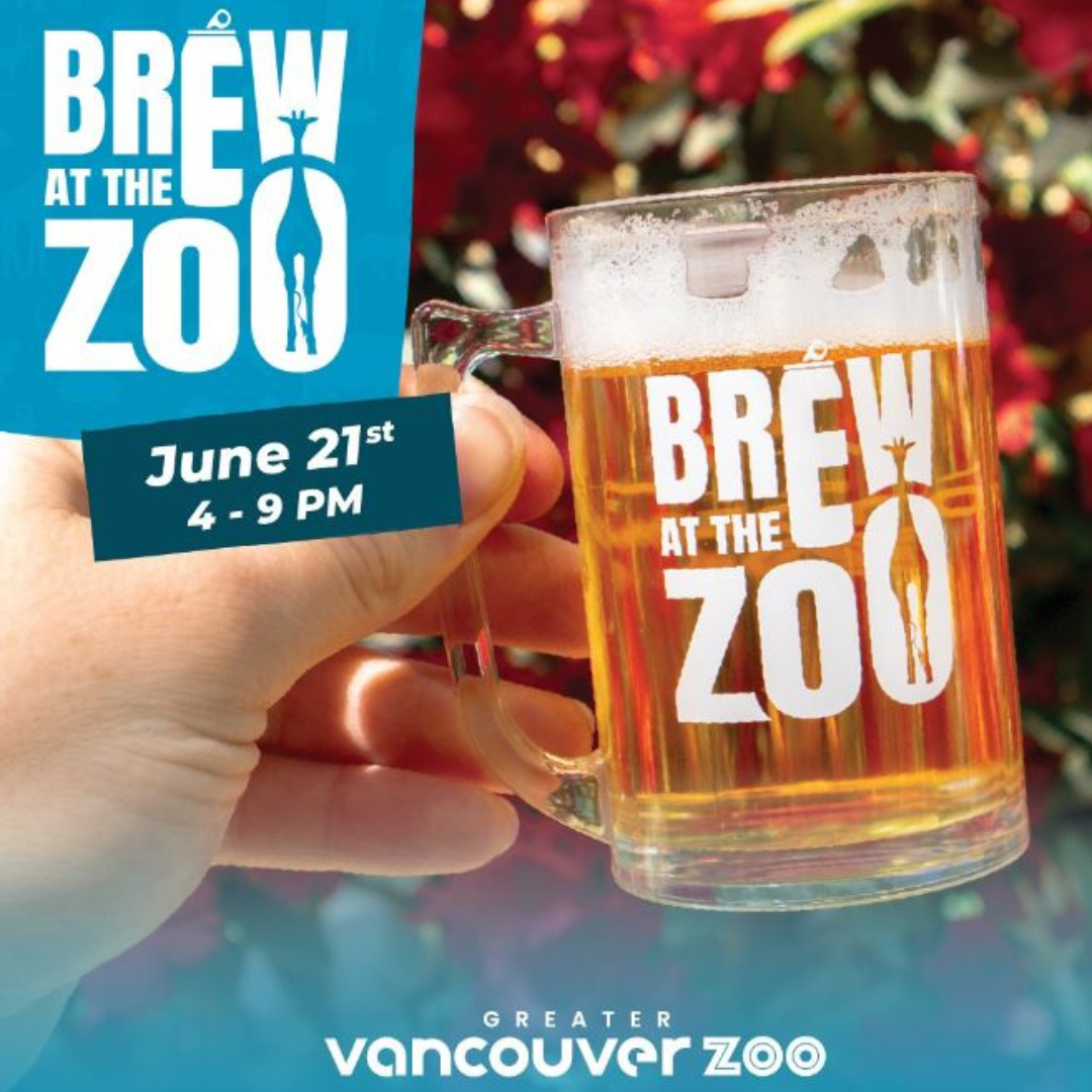 Brew at the Zoo is BACK! Get Tickets for this Saturday June 21 Brew at the Zoo is BACK! Get Tickets for this Saturday June 21