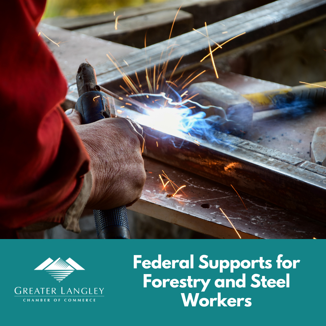 Image for Federal Supports for Forestry and Steel Workers