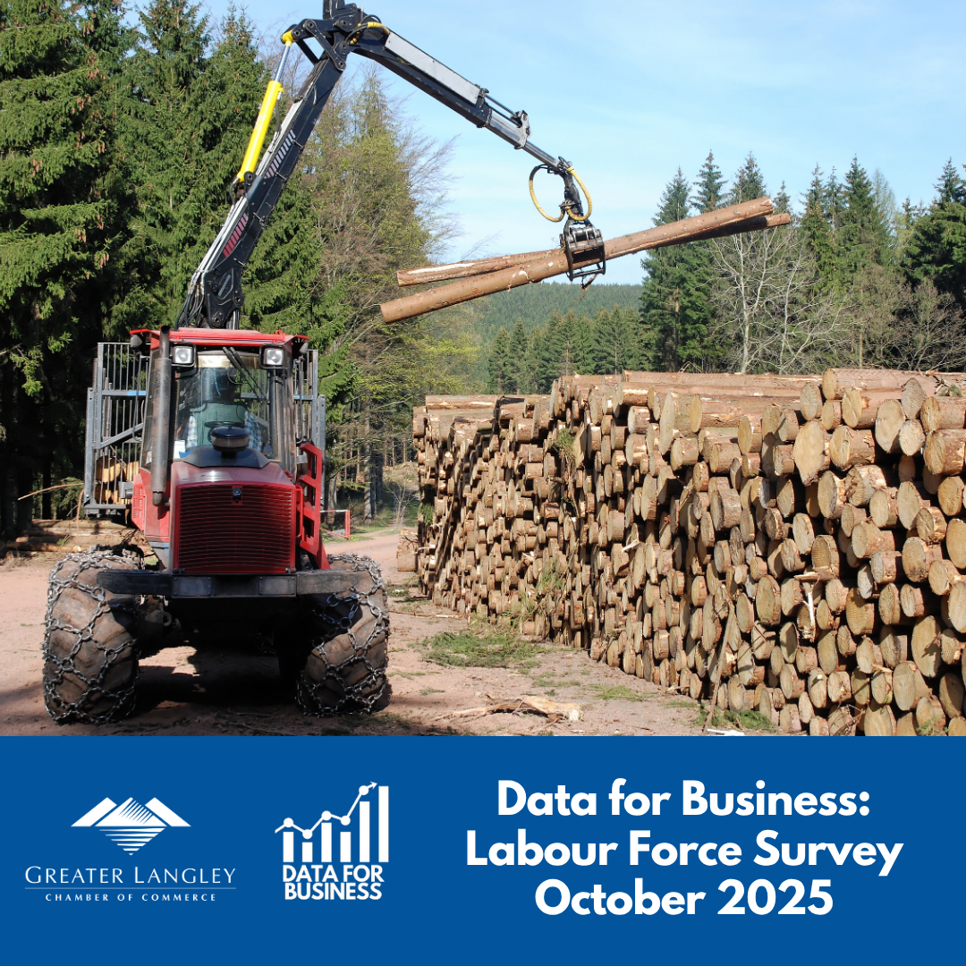 Image for Data for Business: Labour Force Survey October 2025
