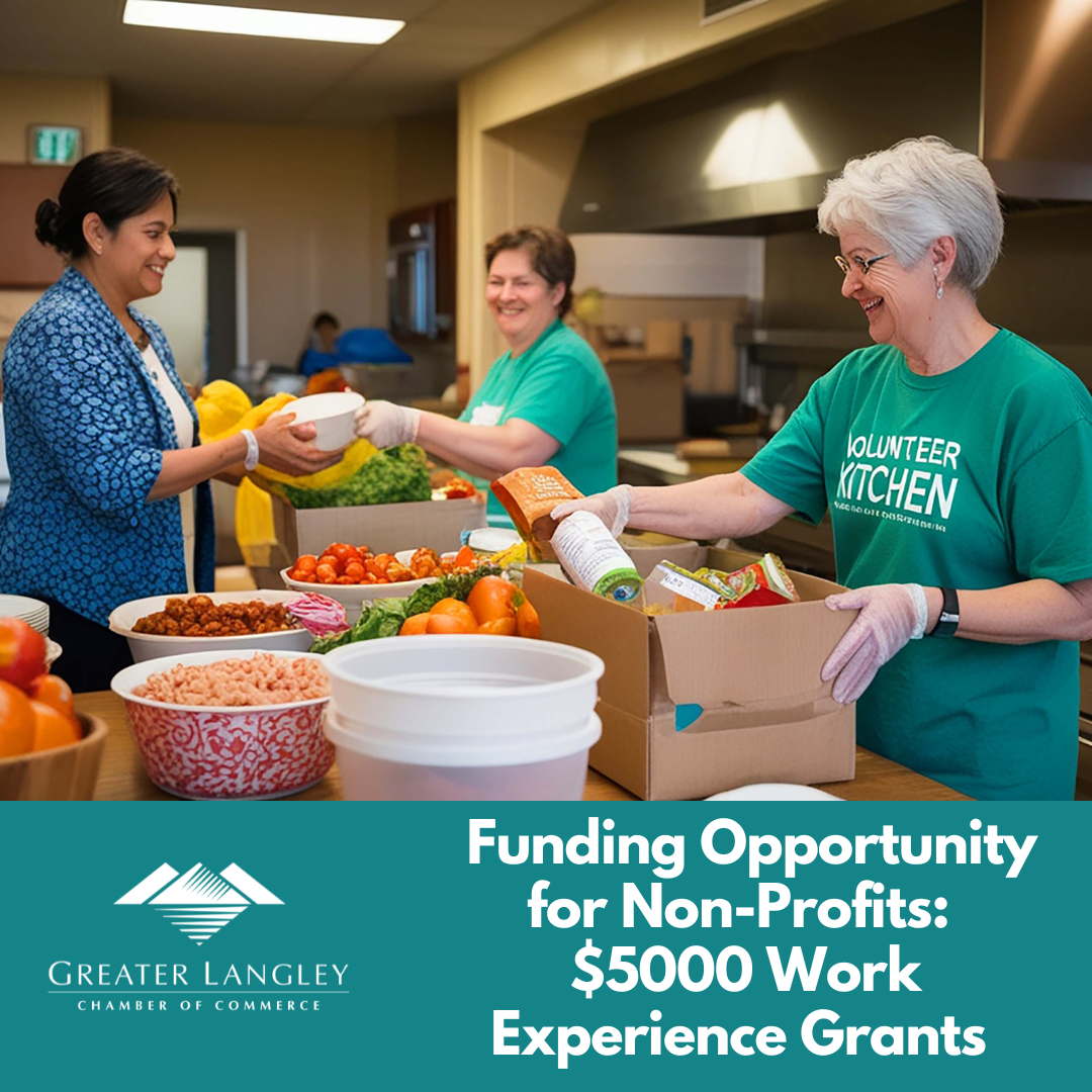 Image for ​Funding Opportunity for Non-Profit Members: Work Experience Opportunities Grant