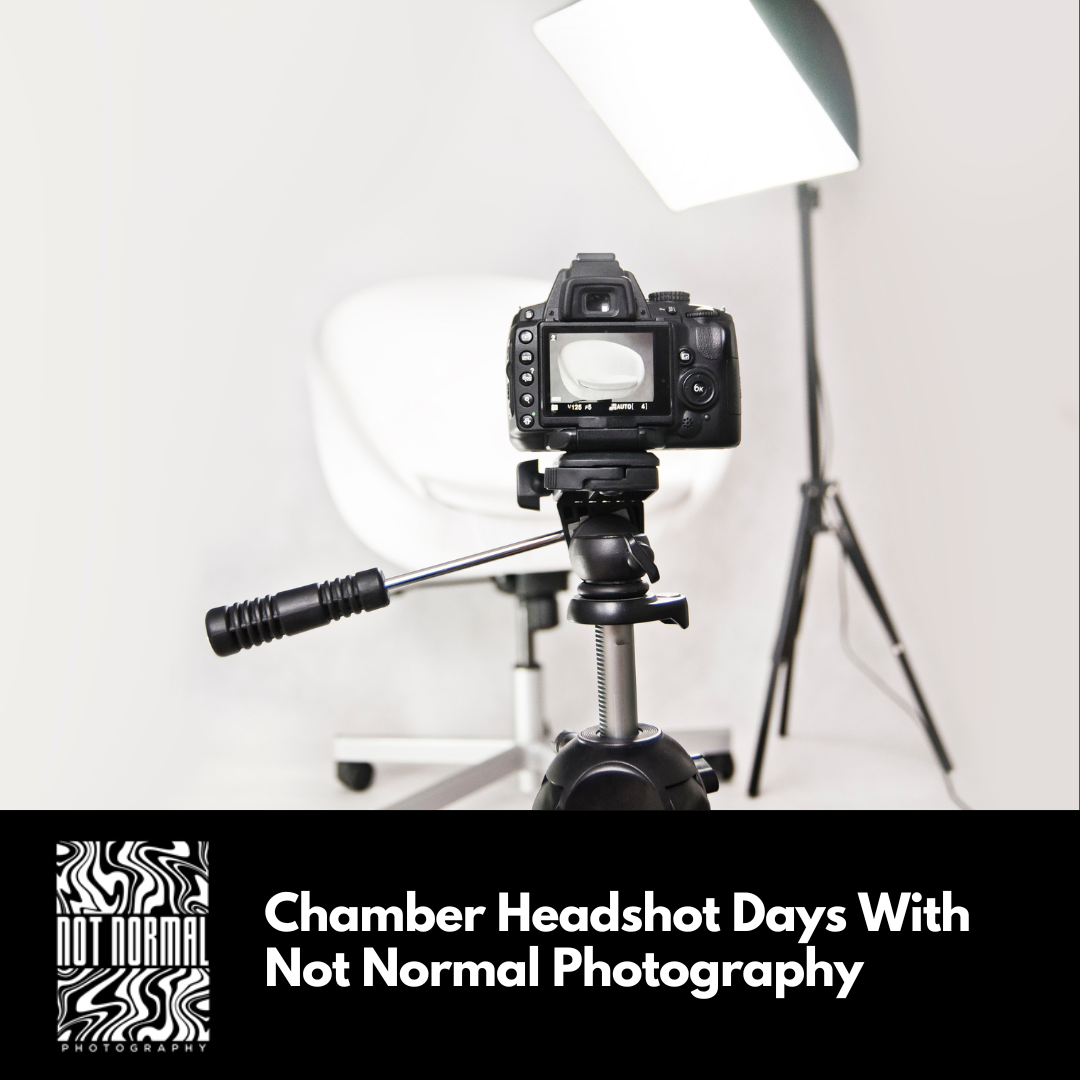 Image for Chamber Headshot Days With Not Normal Photography