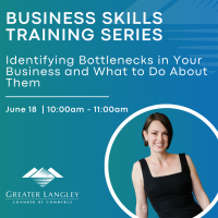 Business Skills Training Series: Identifying Bottlenecks in Your Business and What to Do About Them.