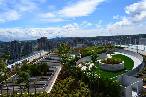 The Post - Downtown Vancouver - Landscape Construction, Concrete, HydroVac, Tree Care