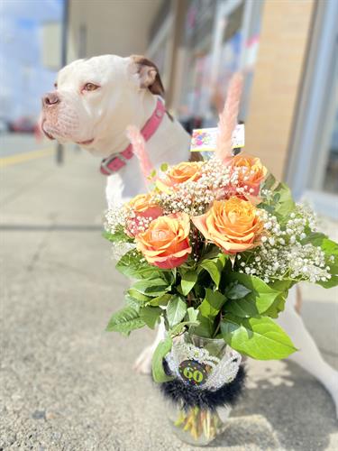 Gallery Image roxy_with_flowers.jpg