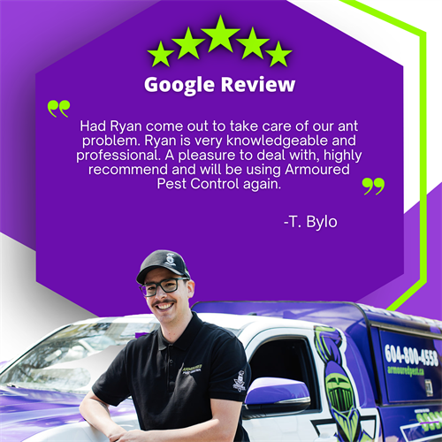 Gallery Image Social_Post_X2_(16).png