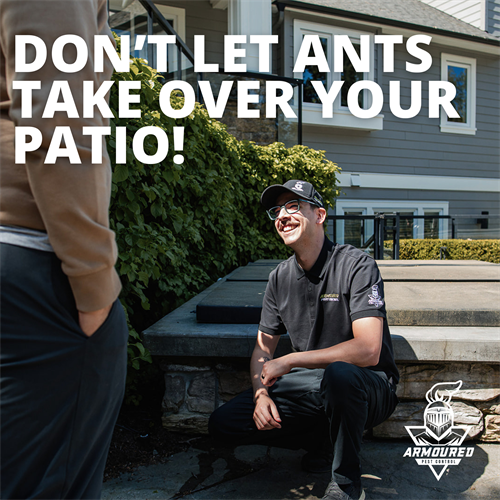 Gallery Image Social_Post_X2_(7).png