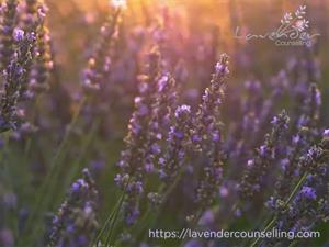 Lavender Counselling