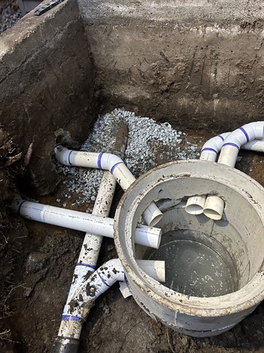 Gallery Image IMG_1501.jpg