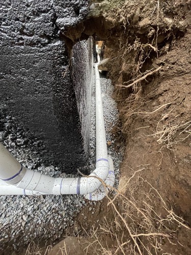 Gallery Image IMG_4193.jpg