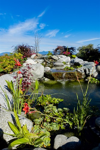 Gallery Image westviewlandscape-045.jpg