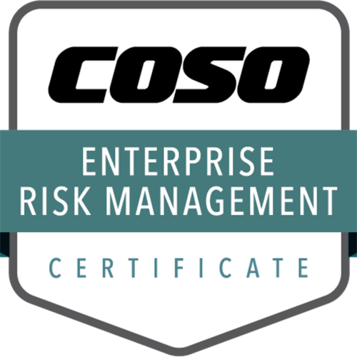 Gallery Image COSO.png Gallery Image COSO.png